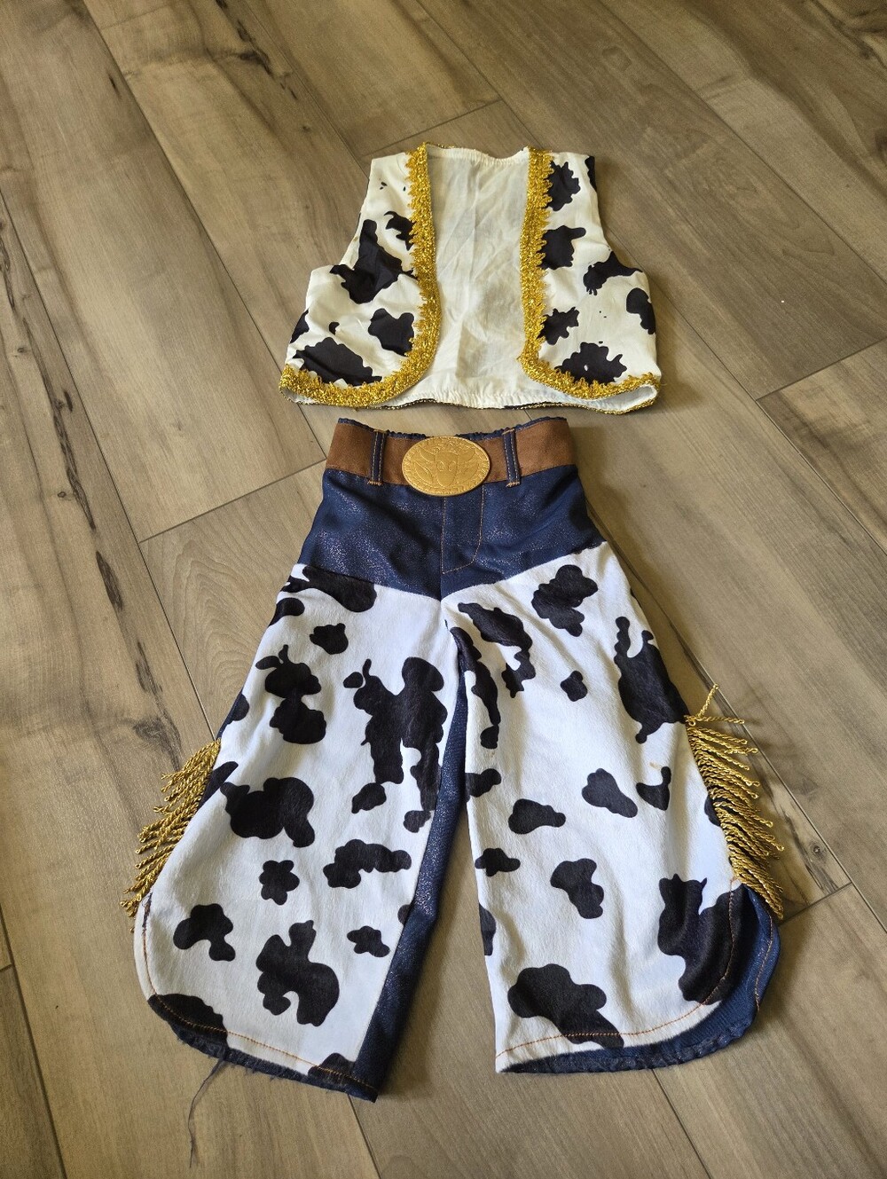 Disney Cowgirl Jessie Costume Set